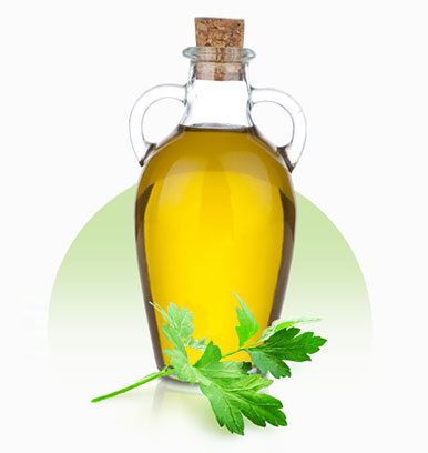 Parsley Seed Oil