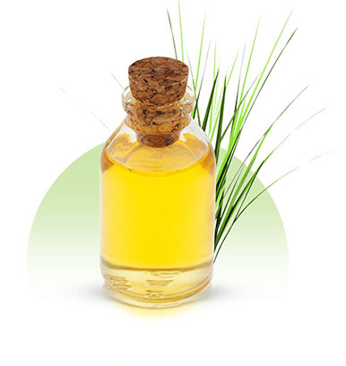 Vetiver Oil