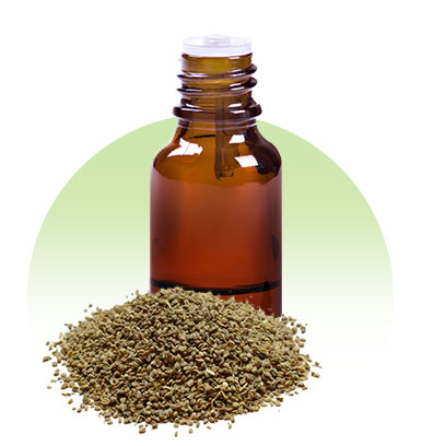 Celery Seed Oleoresins