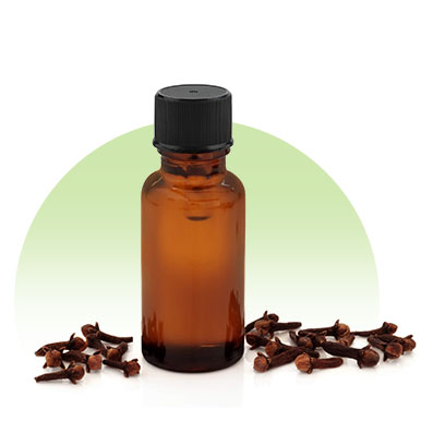 Clove Bud Oleoresin